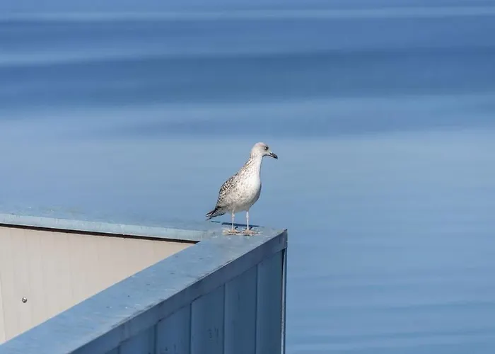Apartamento Tesla With Sea View *