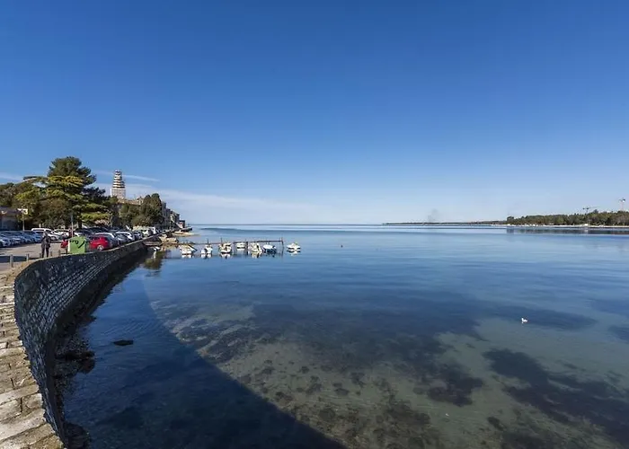 Tesla With Sea View *